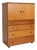 Mid-Century Teak Tallboy Cabinet with Drawers from Schreiber For Sale