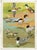 William Neave Parker, Ducks Bird, Mid-20th Century, Gouache Painting For Sale - Image 3 of 9