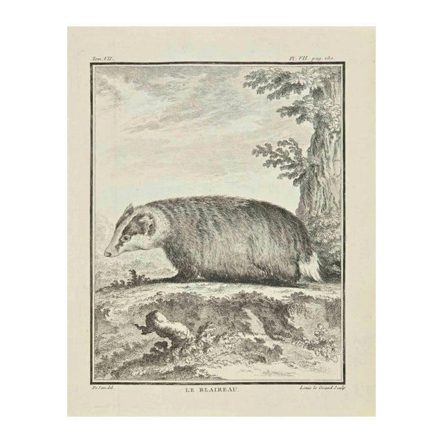 Louis Legrand, Le Blaireau, Etching, 1771 For Sale