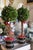 MacKenzie-Childs Courtly Check Holiday Boxwood Topiary Trees With Gold Accents — A Pair For Sale In Washington DC - Image 6 of 18