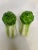 Add a unique flair to your dining collection with these vintage ceramic lettuce salt shakers. Featuring vibrant green tops...
