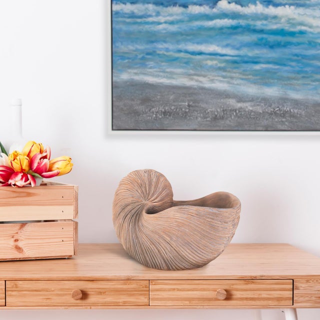 Contemporary Nautilus Shell For Sale - Image 3 of 11