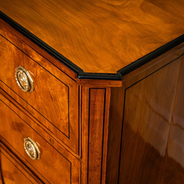 Neoclassical Chest of Drawers, Central Germany, 1800 For Sale - Image 6 of 8