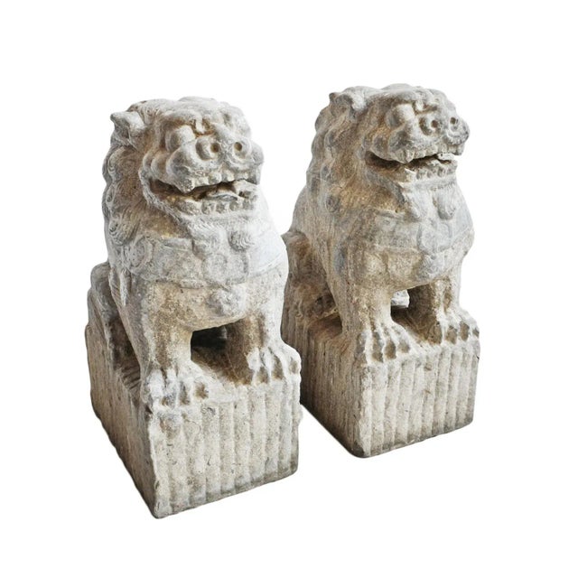 Old Mongolian Stone Foo Dog Statues - Pair For Sale - Image 12 of 12