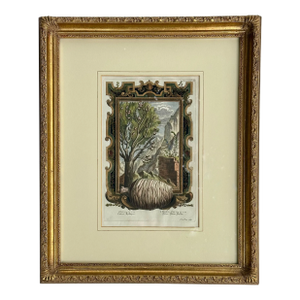 Pine Cone Old Testament, Original Engraving by Johann Scheuchzer, 1731 (Framed)