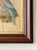 Chestnut Antique Burmese Roller Lithograph After j.g. Keulemans in Deep Wood Frame For Sale - Image 8 of 11