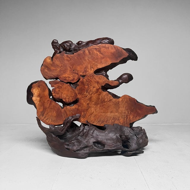 Unique and large 'burl wood' (Yakusugi) decoration from Japan. This item consists of two parts: the raised part is a...