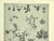 1902 Set of 3-Antique French Botanicals- Phlox, Bluets, Mallow, Documentation For Sale - Image 9 of 14