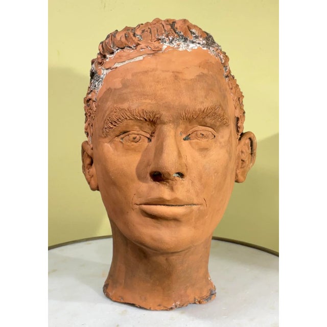 Terra Cotta Terra Cotta Head Bust of a Handsome Man For Sale - Image 8 of 13