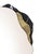 Arizona Mirror in Nero Marquina Marble and Polished Brass from InsidherLand, in New conditions. Designed from 2000 Labeled...