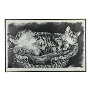Vintage Fat Cat Glass Covered Framed Print Black & White