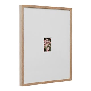 The Rose Garden Nº 34 Print by David Urbano, 2018 For Sale