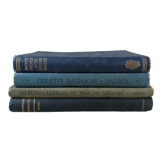 Antique 19th Century French Blue Books - Set of 4 For Sale