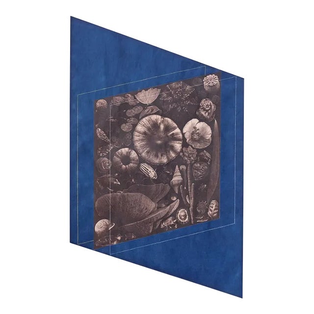 Botanical Abstract Bleached and Toned Traditional Watercolor Cyanotype on Hahnemuhle Sumi-E Paper, "Palimpsest" For Sale