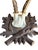 Roe Deer Trophy 225 Black Forest Antlers For Sale - Image 4 of 5
