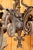 19th Century Wrought Iron Chandelier with Coat of Arms For Sale - Image 12 of 14