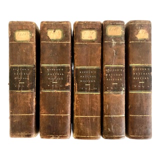 Complete Five-Volume 1831 Leather-Bound Set of "Buffon’s Natural History" For Sale
