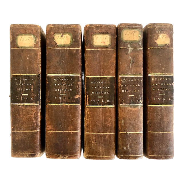 Complete Five-Volume 1831 Leather-Bound Set of "Buffon’s Natural History" For Sale