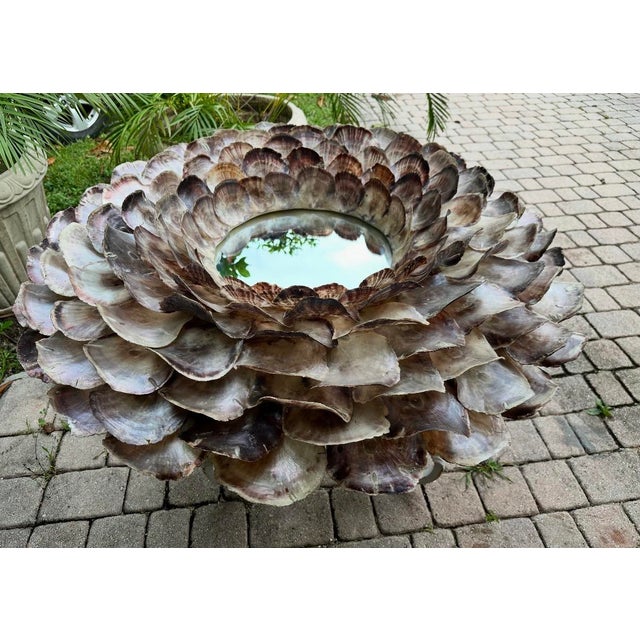 Monumental Coastal Oyster Shell Round Mirror For Sale In Miami - Image 6 of 9
