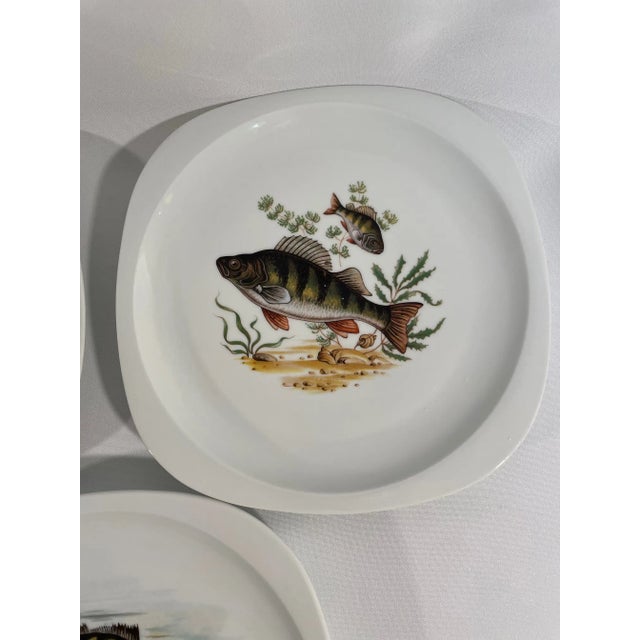 1940s-50s French Limoges Fish Plates - Set of Five For Sale - Image 11 of 17