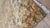 Indian Vintage Indo Tabriz Carpet, Oriental Rug, Handmade, Taupe, Gold, Cream Caramel For Sale - Image 3 of 15