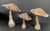 Late 20th Century Set of 3 Folk Art Carved Wood Mushroom Sculpture #M45 For Sale In New York - Image 6 of 10