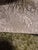 1990s Dual Sided White and Green Asian Silk Crysanthemum Fabric1 Panel For Sale - Image 13 of 13