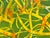Contemporary "Overcasting Green" by Michael DesRosiers Acrylic Paint on Paper (2025) For Sale - Image 3 of 5