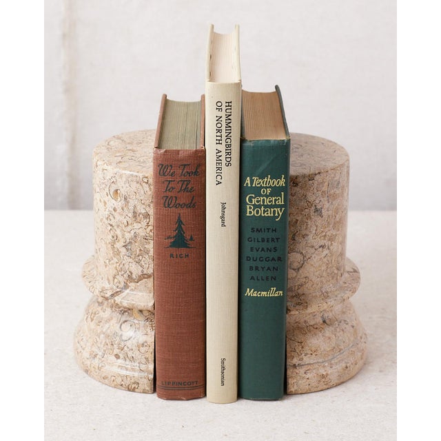 1980s Fossilized Stone Bookends For Sale - Image 5 of 9