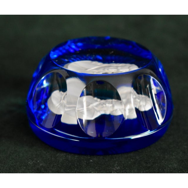 Cristal D’Albret Crystal Paper Weight Vintage France John James Audubon Glass For Sale In Philadelphia - Image 6 of 18