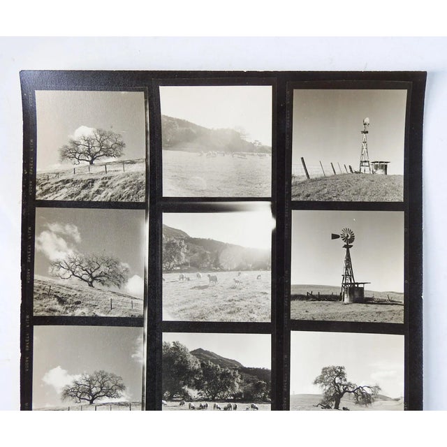 Mid 20th Century Vintage California Fine Art Photograph Contact Sheet Farm For Sale - Image 5 of 7