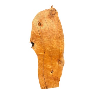 Vintage California Juniper Live Edge Slab – Organic Modern Wall Art or Display Shelf For Sale