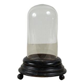 19th Century Ebony-Colored Bell-Shaped Relic Case For Sale