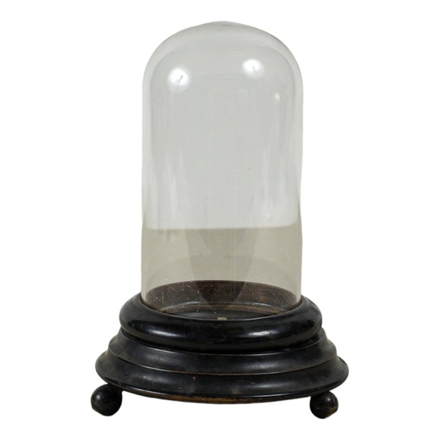 19th Century Ebony-Colored Bell-Shaped Relic Case For Sale