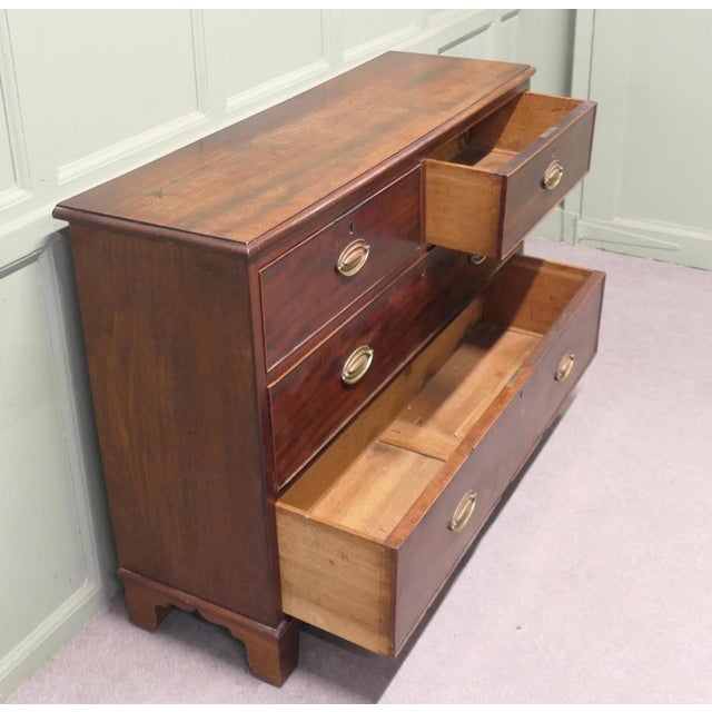 Chest of Drawers in Mahogany For Sale - Image 5 of 8