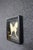 Late 20th Century Framed Female Comet Moth Shadow Box Specimen Display For Sale - Image 5 of 10
