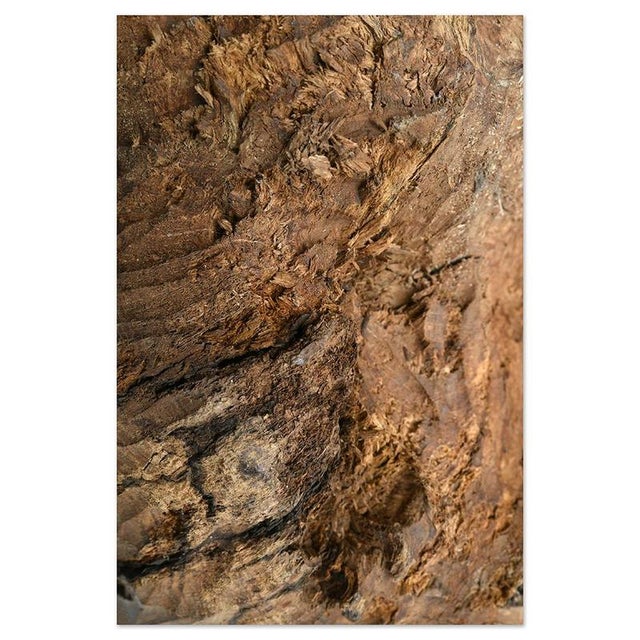 Carved Teak Root Sculpture For Sale - Image 5 of 8