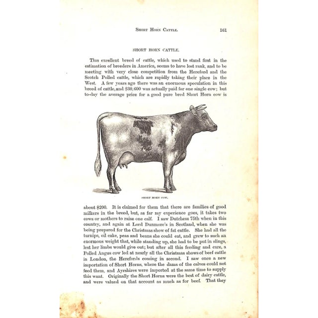 "How the Farm Pays the Experiences of Forty Years of Successful Farming and Gardening" 1884 Crozier, William and Henderson, Peter For Sale - Image 10 of 12