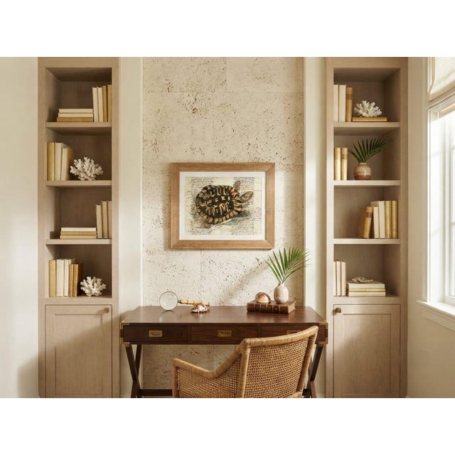 Wood Vintage Tortoise & Manuscript Botanical-Style Art Print in Reeded Wood Frame For Sale - Image 7 of 12