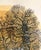 1970s Robert Tavener Winter Paddock Lithograph Signed Mid Century English Farm Barn For Sale - Image 5 of 15