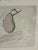 Natural Curiosities “St. Germain Pear-Tree” Oversized Botanical Print, For Sale In Charlotte - Image 6 of 10