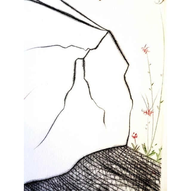 Salvador Dali - The Marvellous Steps - Original Handsigned Etching 1975 For Sale - Image 4 of 8