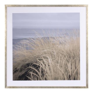 Framed Coastal Beach Dune Wall Art Print 27.5"SQ For Sale