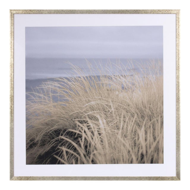 Framed Coastal Beach Dune Wall Art Print 27.5"SQ For Sale