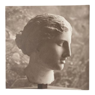 William Gray Harris Photograph on Canvas “ Aphrodite of Kindos" For Sale