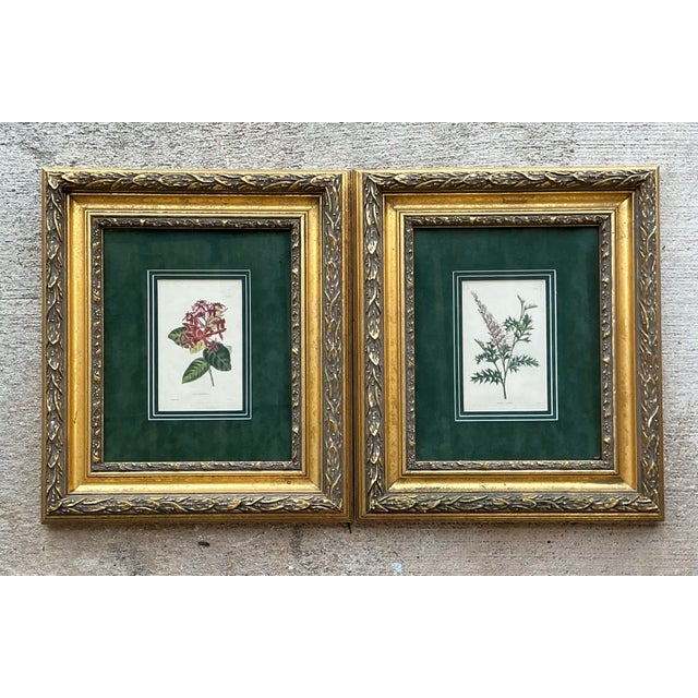 Vintage Framed Botanical Floral Prints - A Pair For Sale - Image 10 of 12