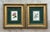 Vintage Framed Botanical Floral Prints - A Pair For Sale - Image 10 of 12