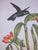1980s Chelsea House Pair of Flower & Bird Engraving Prints For Sale In Philadelphia - Image 6 of 13