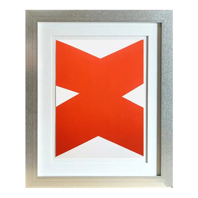 1960s Ellsworth Kelly Original Lithograph Dm03110 Derriere Le Miroir Framed For Sale