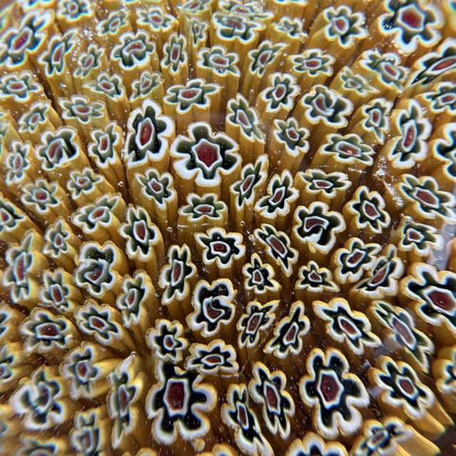Murano Vintage Murano Yellow Multicolored Millefiori Glass Paperweight 2.5" For Sale - Image 4 of 5
